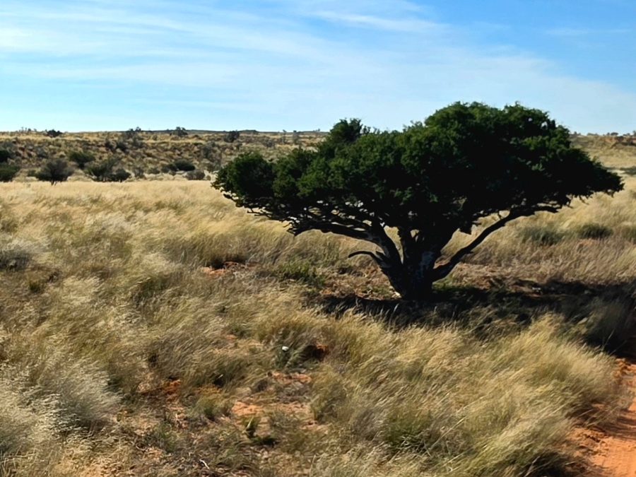 Commercial Property for Sale in Upington Rural Northern Cape